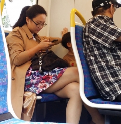 Candid Street Pantyhose -Tights #015 - Asian on the Train - N