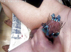 brutal pain cbt insertion bdsm - N