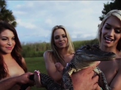 hot-blonde-lesbian-babes-touched-guys-big-aligator